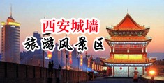 用几把干骚逼视频中国陕西-西安城墙旅游风景区